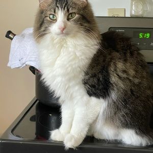 Meet your Posher, Cathy